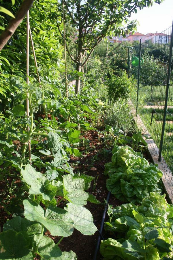Apartment Green Garden Pula Exterior foto